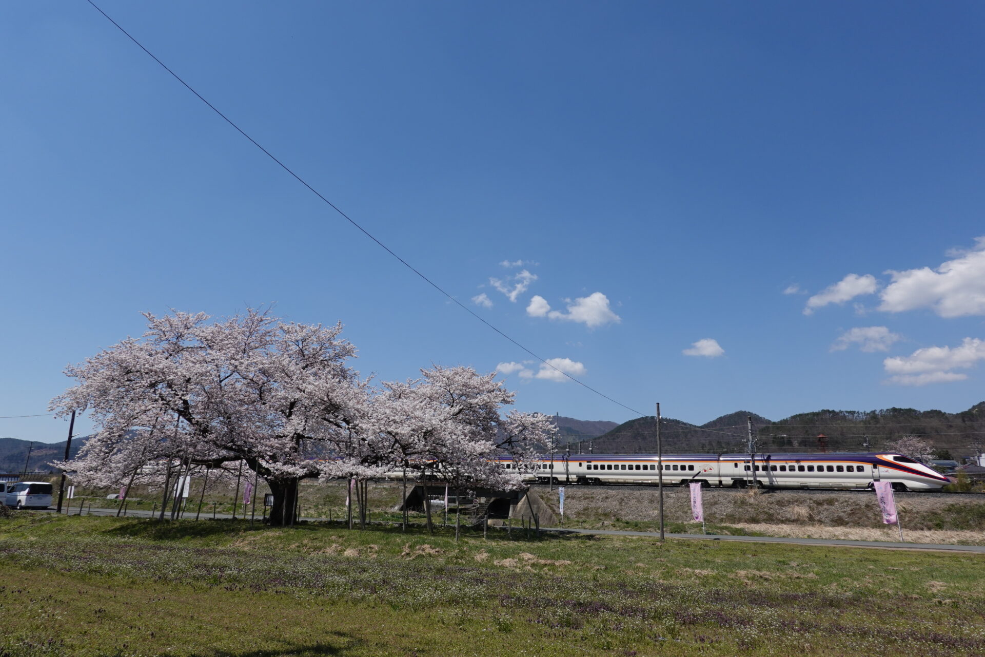 「かみのやま桜マップ」を見ながら桜の名所を巡ろう！
