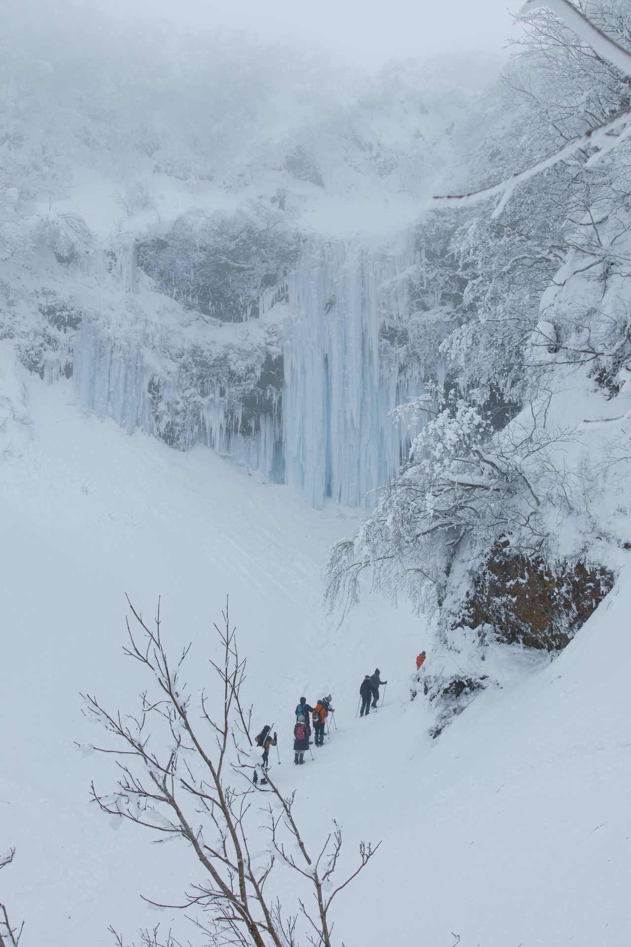 氷瀑・山形の自然を世界へ