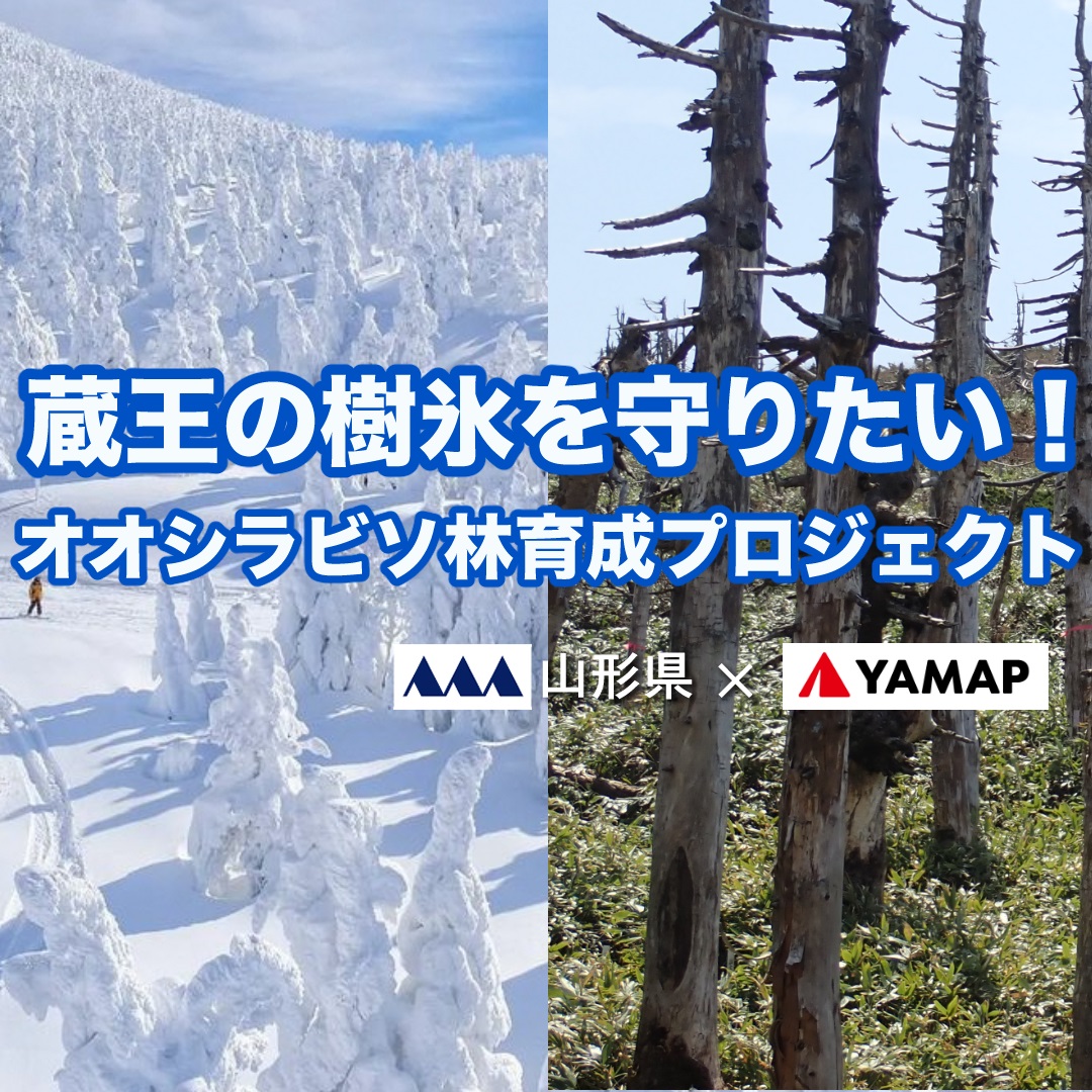 ふるさと納税で、蔵王の美しさと楽しさを体験してください！