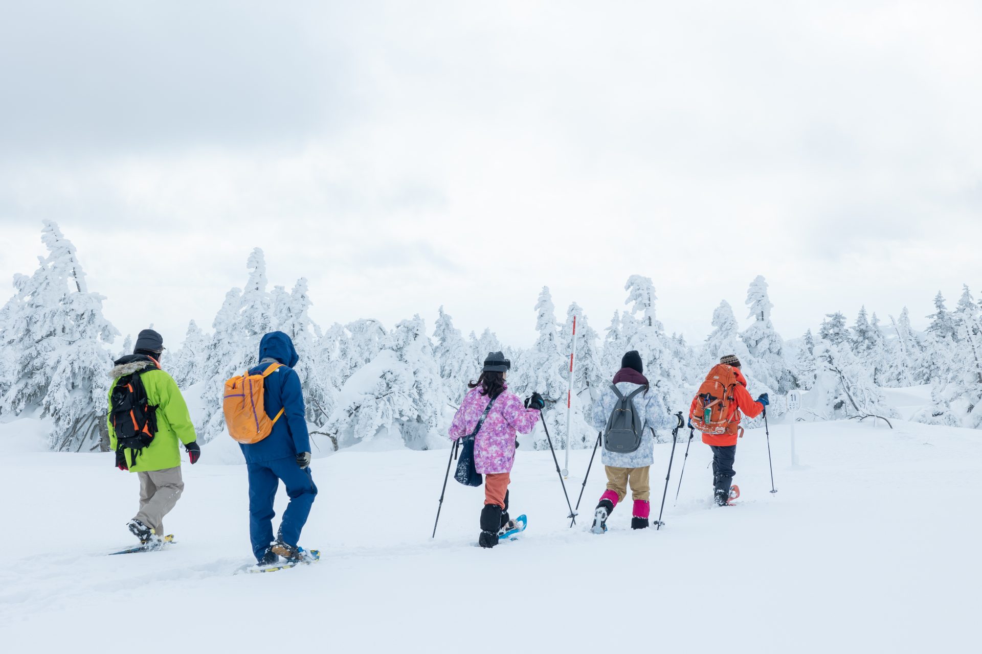 冬のアクティビティプラン
