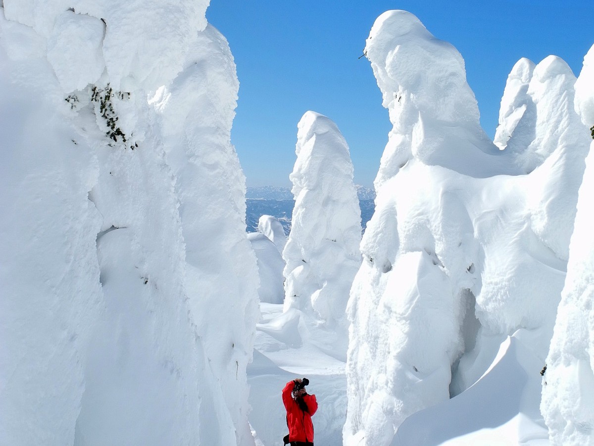 冬のアクティビティプラン