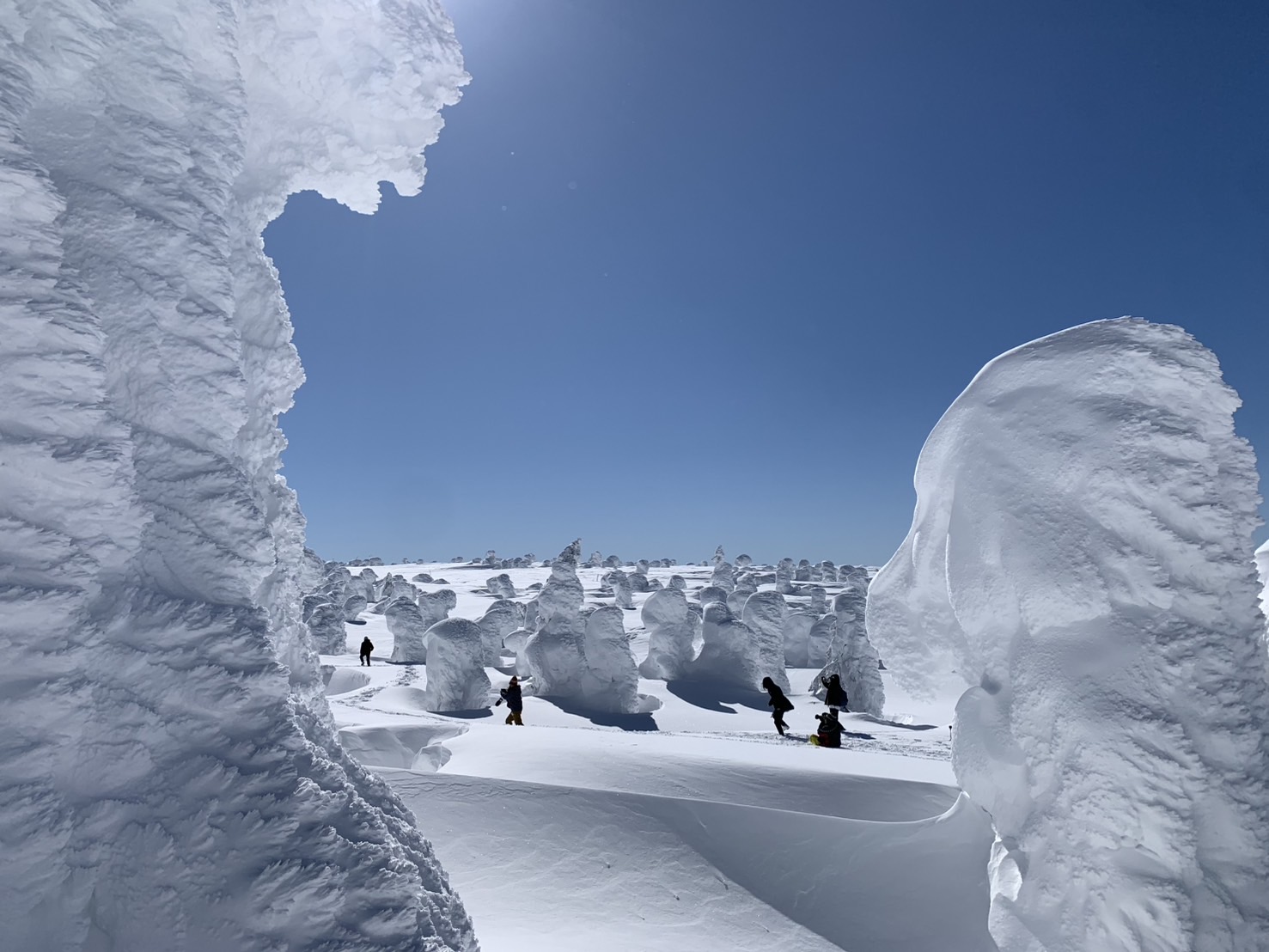 冬のアクティビティプラン
