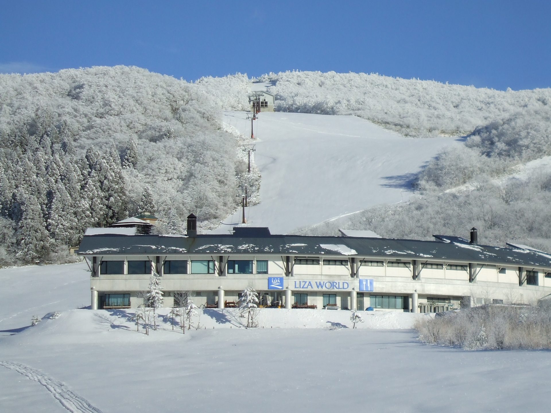 冬のアクティビティプラン